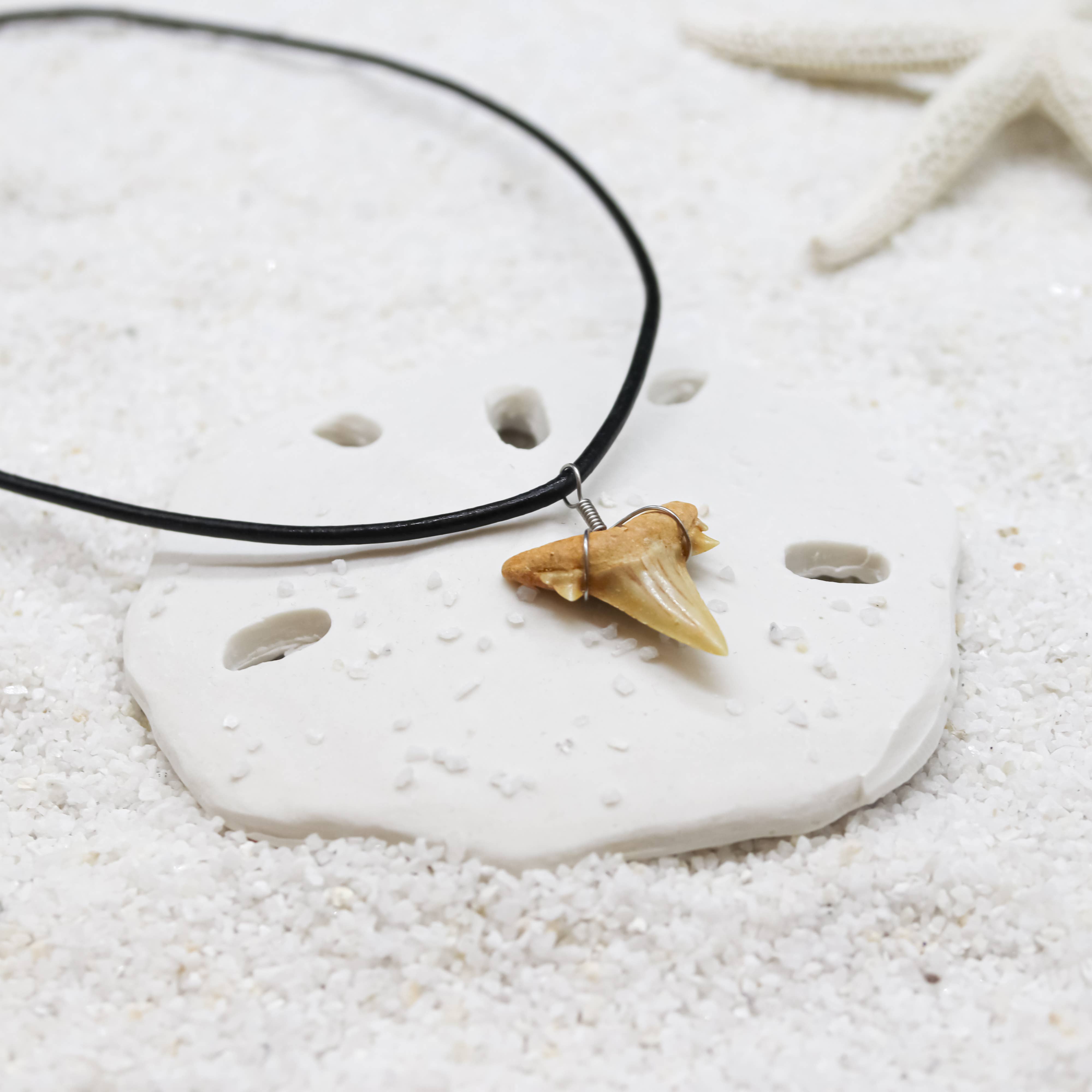Natalia - Wholesale Pendant/Charm Necklace - Shark Tooth Necklace - Fossil Sharks Teeth with Leather Cord1