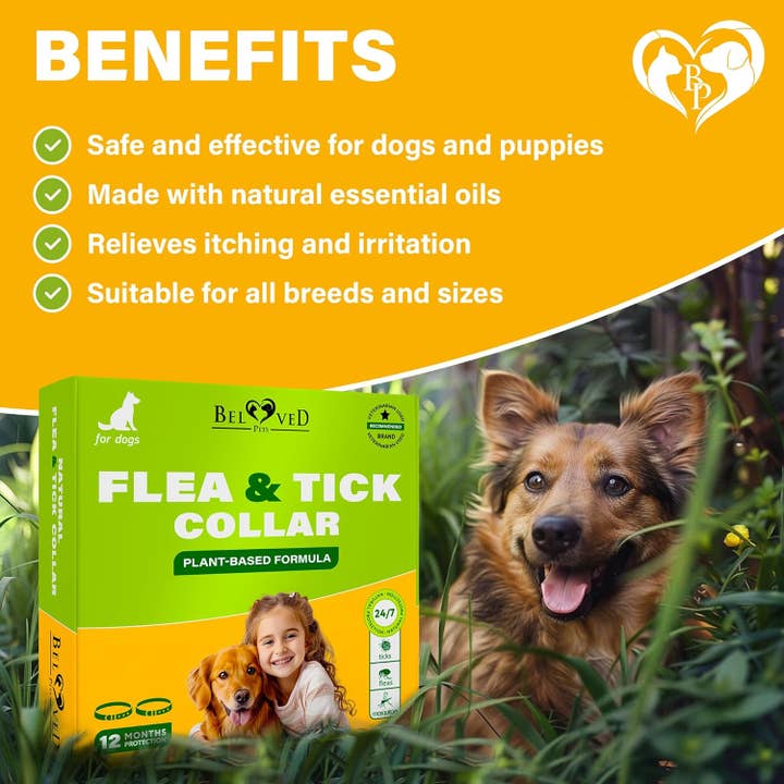 Beloved Pets - Wholesale Pet Collar - Dog - Natural Flea & Tick Collar for Dogs - 6 Months Control of Best Prevention & Safe Treatment - Anti Fleas and Ticks Essential Oil Repellent (2 Count (Pack of 2))