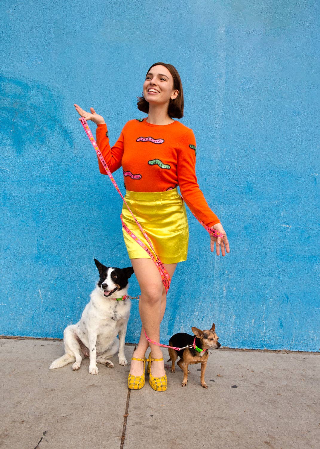 gentle thrills - Wholesale Pet Collar - Dog - trash day dog collar5