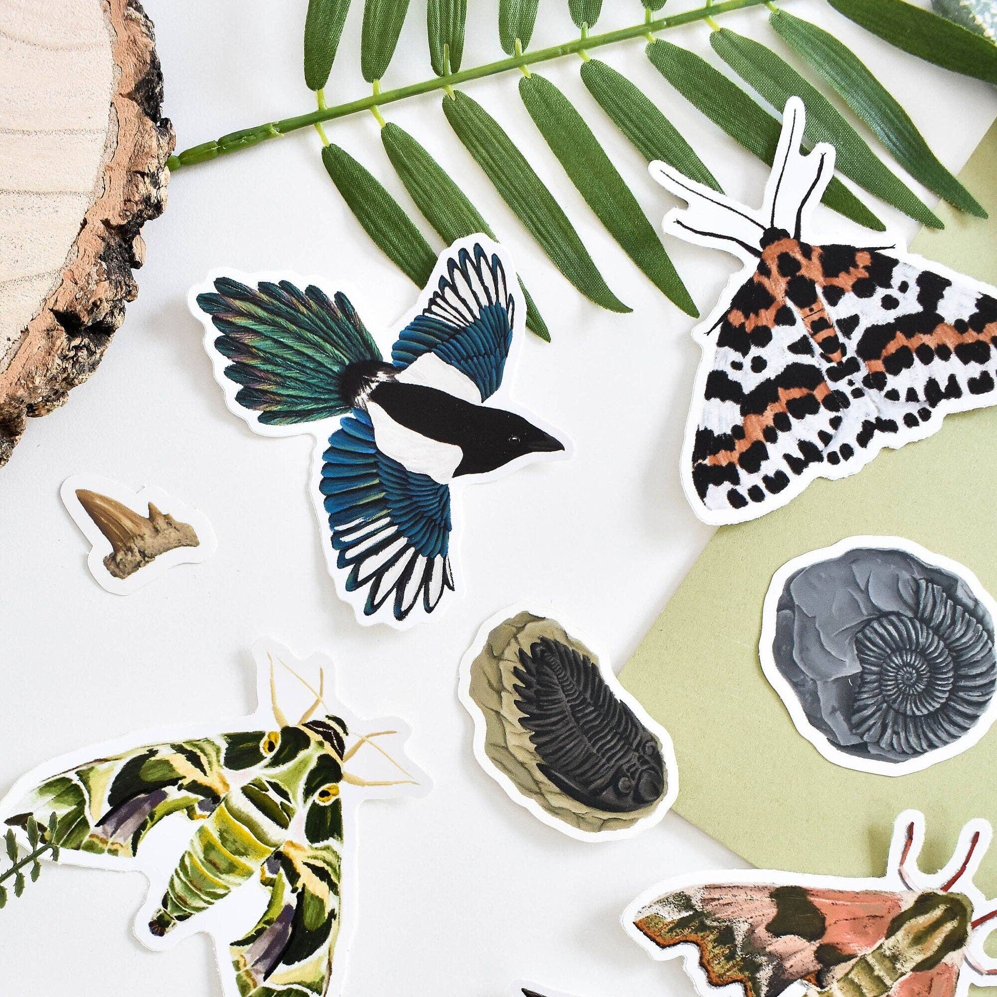 Ferne Creative – wholesale Sticker – Flying Magpie Vinyl Sticker3