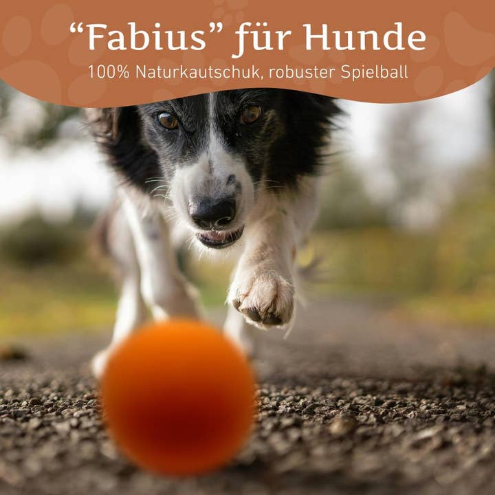 WILDFANG – Großhandel Apportierball – Hund – Kauspielzeug Flummiball "Fabius" - 100% Naturkautschuk