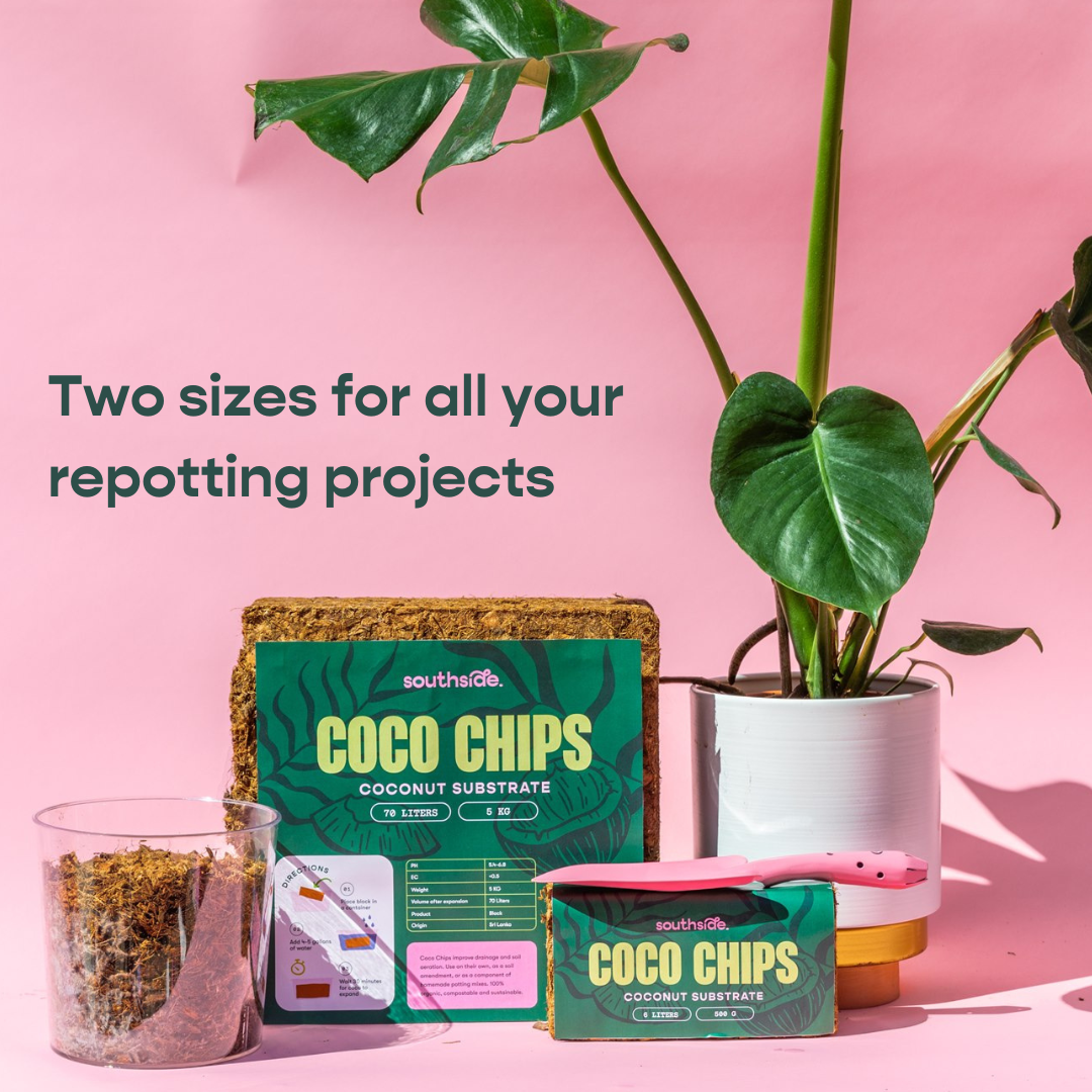 Southside. - Wholesale Planting/Potting Soil - Coco Chip - Chunky Coconut Husk for Houseplant Soil Aeration3