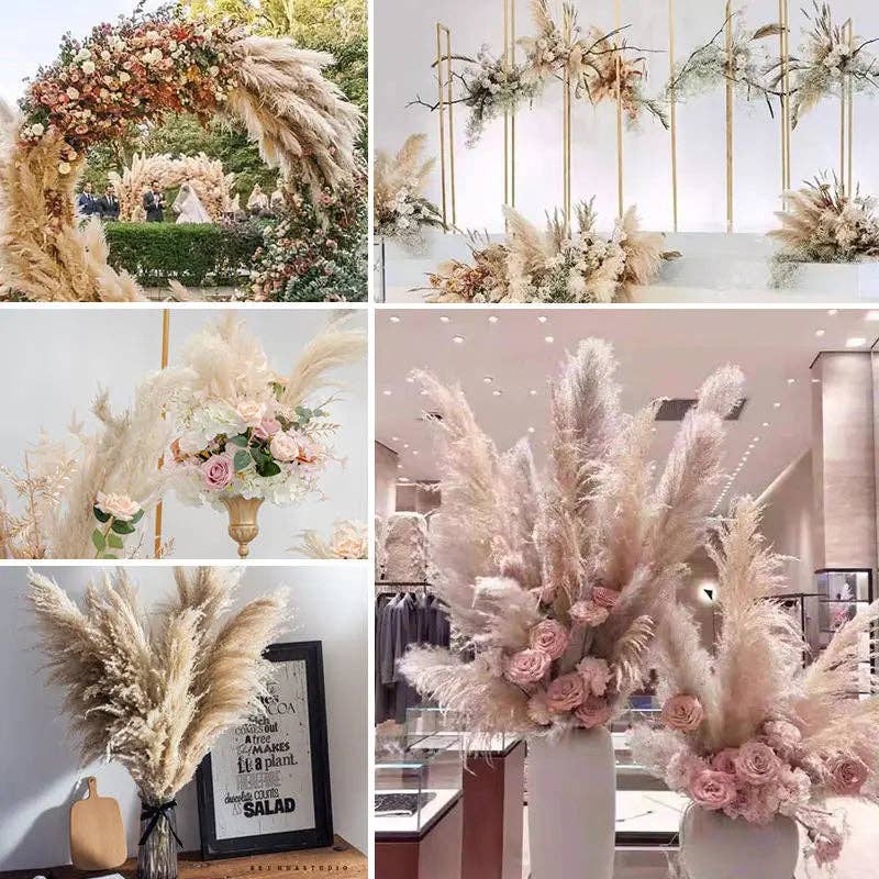 BRECK + FOX - Wholesale Dried/Pressed Flowers - Dried Natural Grass Plumes 10-Piece Set9