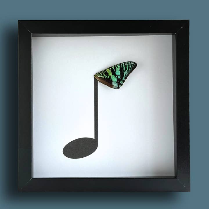 Music Eighth Note Framed Art with Real Butterfly Wing for wholesale by Isms