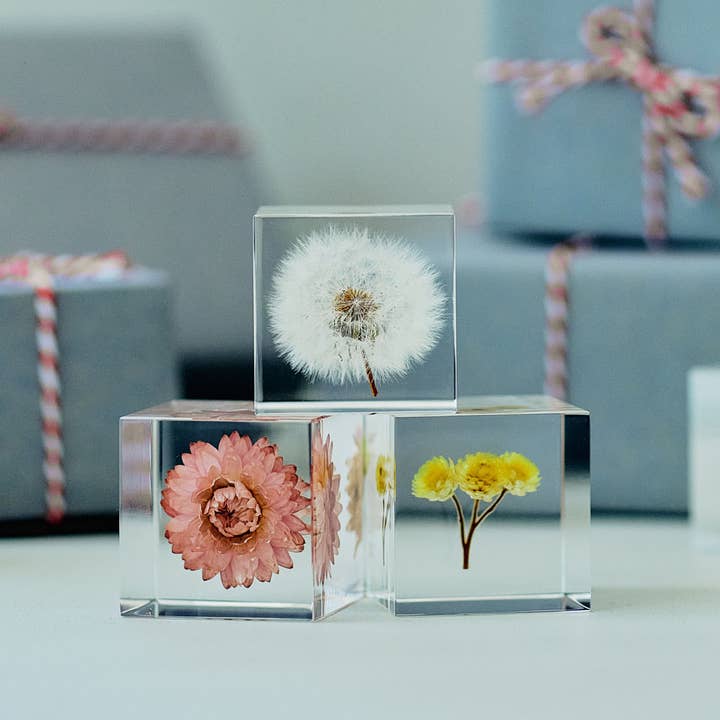 Sola cube - Wholesale Decorative Tabletop Object - Dandelion / Small5
