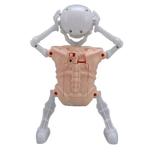 Showcase - Wholesale Gag Gift/Novelty Gift - SkellyVibes Glow-In-The-Dark Dancing Skeleton - Lights Up & Laughs!7