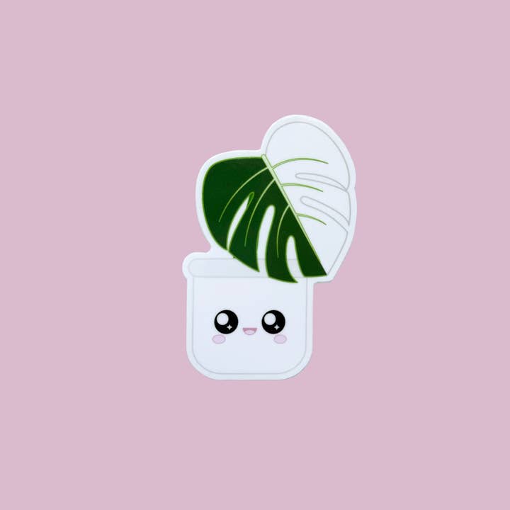 Adhesivo para plantas de Monstera para venta al por mayor de Blushiez