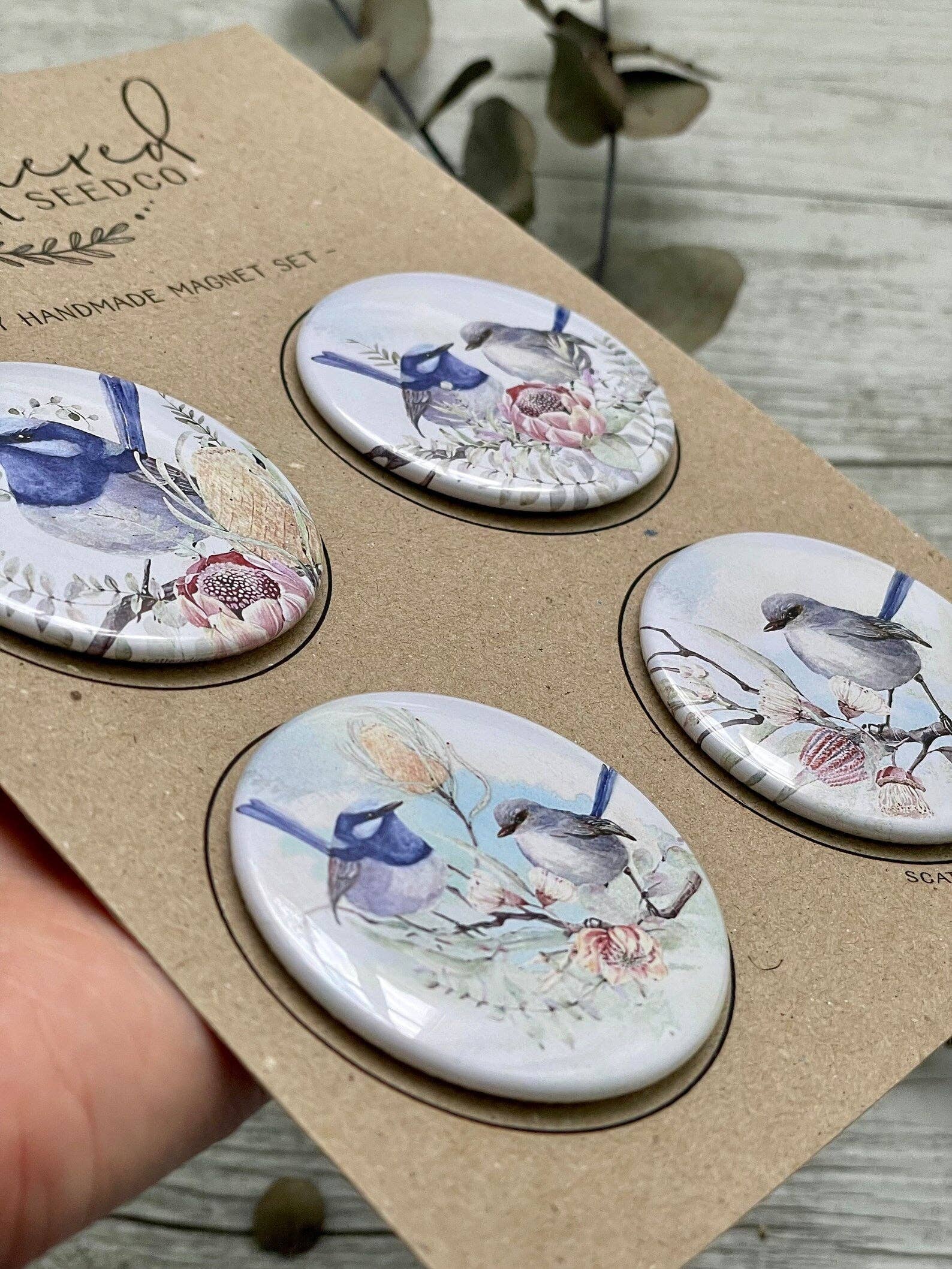 Scattered Seed Co - Wholesale Magnet - Superb Fairy Wren Large Magnets set of 42