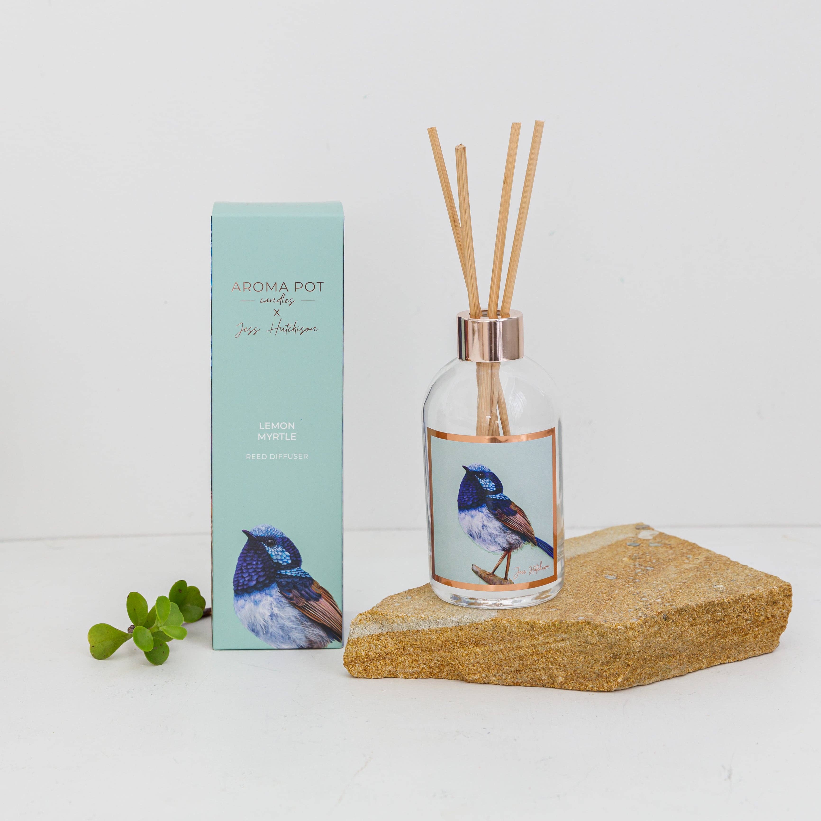 Aroma Pot - Wholesale Reed diffuser - Australian artist reed diffuser | lemon myrtle | 200ml6