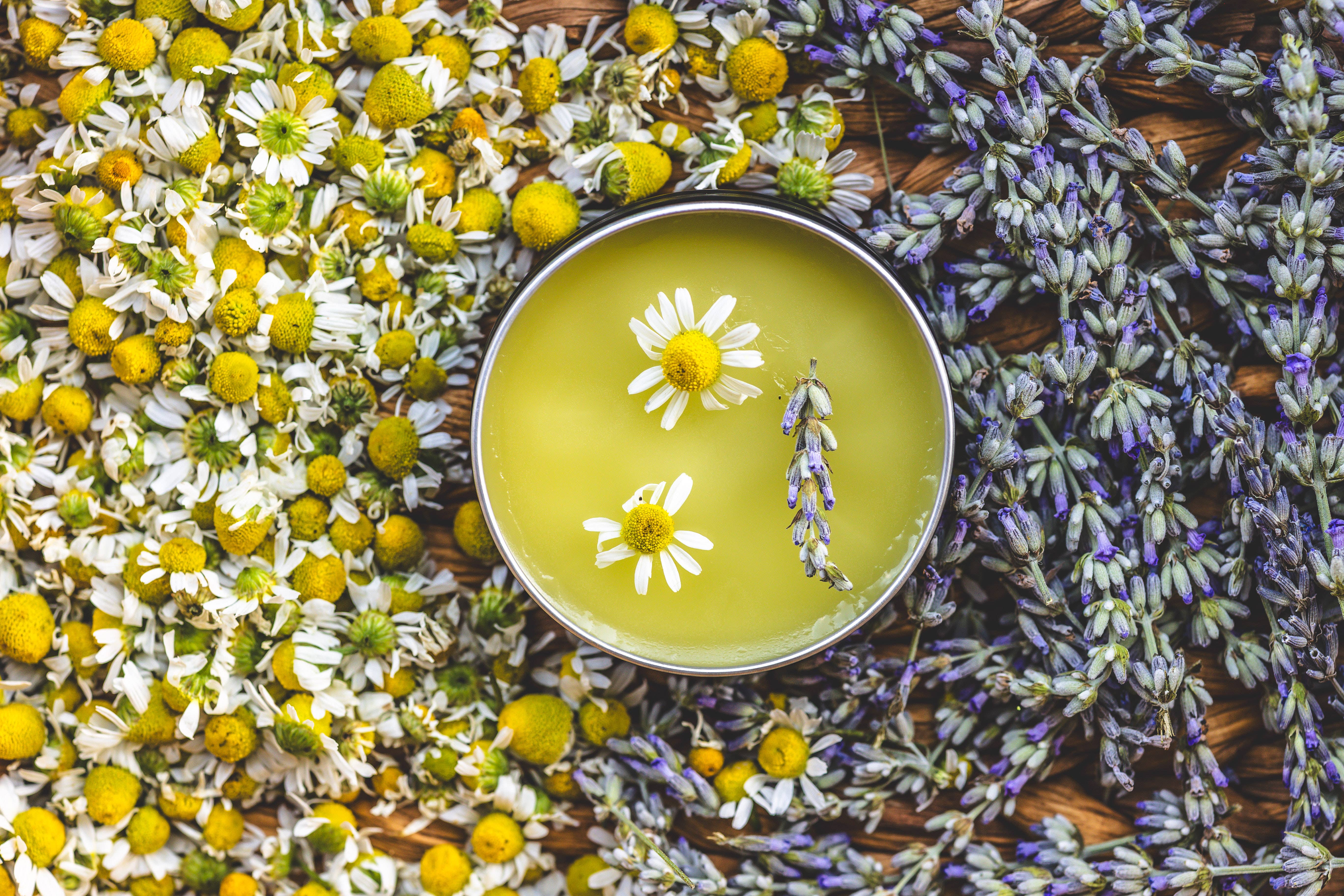 Benevolence Farm - Wholesale Healing Salve/Balm/Cream - Healing Salve2