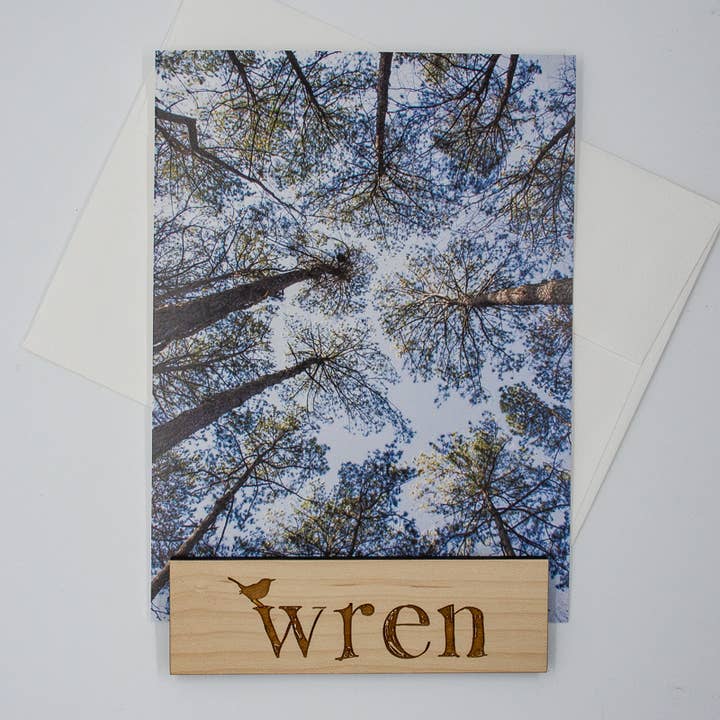 Wren - Wholesale Everyday Greeting Card - Pine Trees | Skyward (Blank inside) Greeting Card4