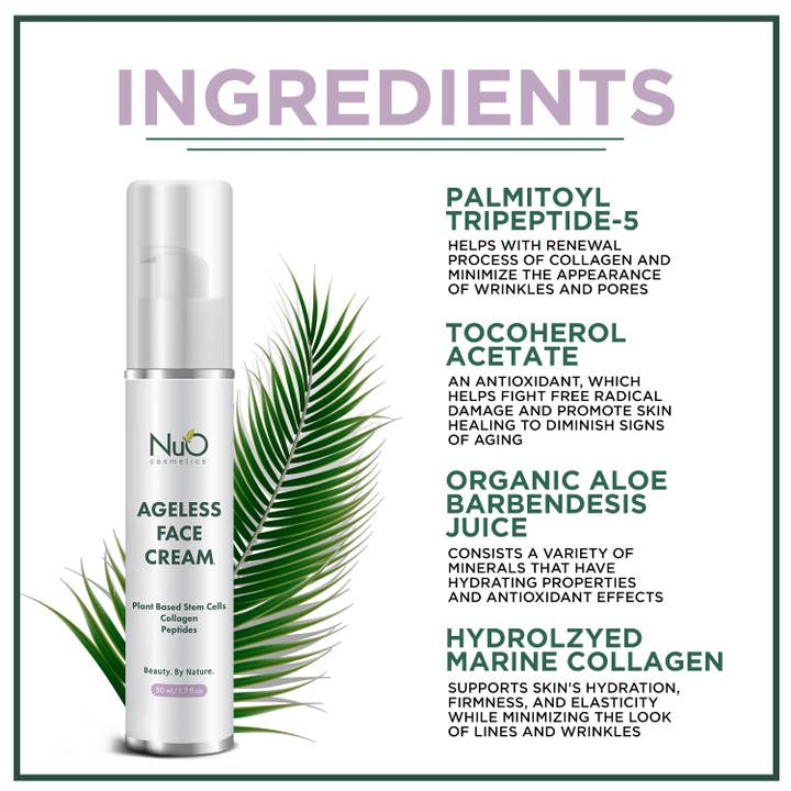 NuOrganic Cosmetics - Wholesale Anti-Aging Moisturizer - Ageless Face Cream
