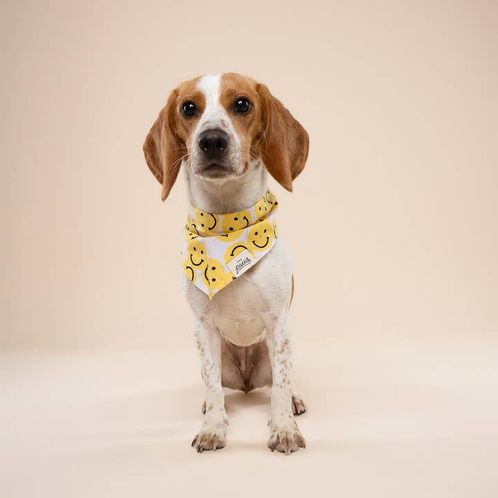 The Paws - Wholesale Pet Bandana - Dog - Smile Dog Bandana