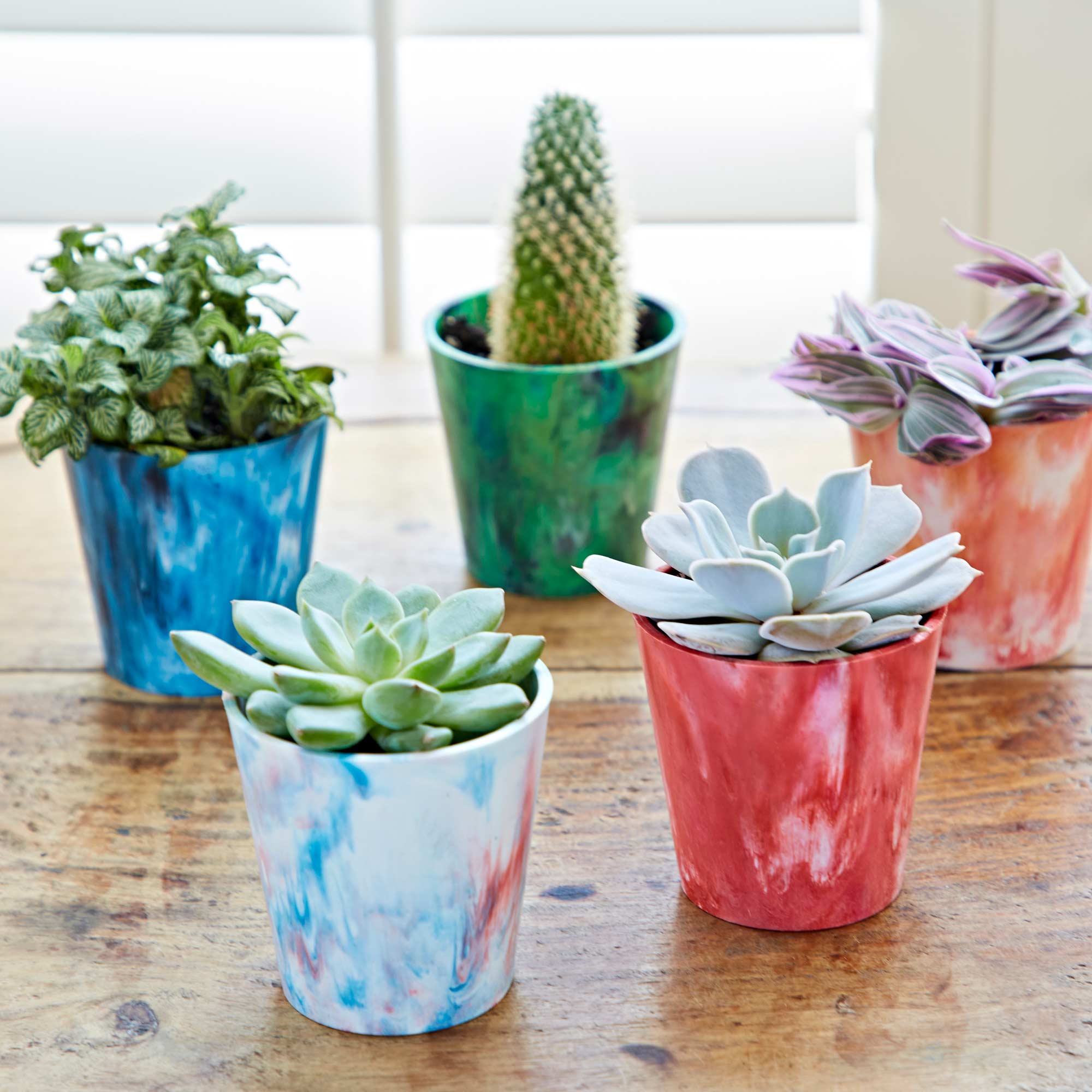 The Paper High Gift Company Limited – wholesale Plant pot – Recycled Plastic Mini Houseplant Pot3