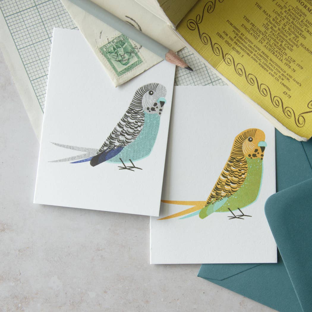 Bobbie Print - Wholesale Birthday Card - Quirky Funny Illustrated Blue Budgie Birthday Mini Card2