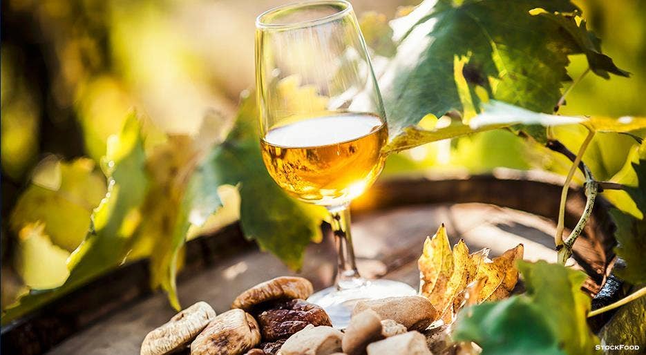 Emporio Sicilia – Großhandel Weißwein – Calicanto Zibibbo Sicilian Lands IGP - Cantine Vinci1