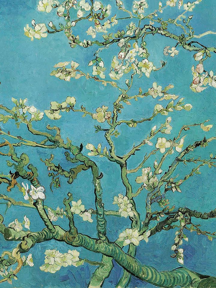 Póster artístico Van Gogh con flor de almendro, 30 x 40 cm para venta al por mayor de On The Wall Art Ltd