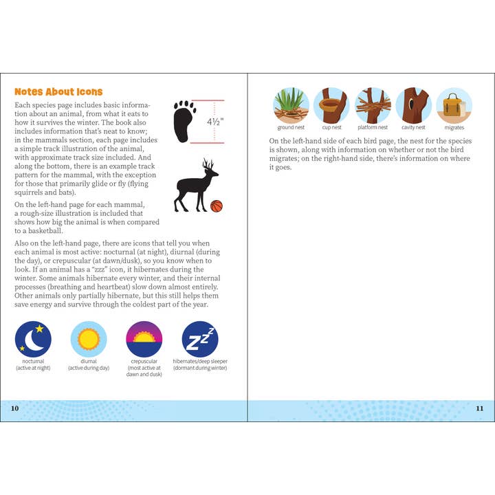 AdventureKEEN - Wholesale Book - Kids - Critters of Colorado Pocket Guide
