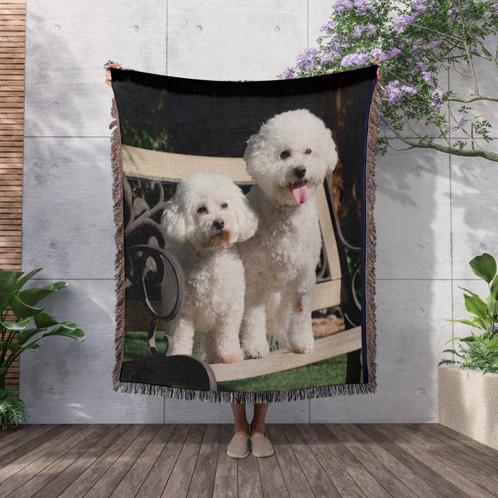 3dRose - Wholesale Throw Blanket - 3dRose, Two Bishon Frise dog - US05 ZMU0060 - Zandria Muench Beraldo, Blanket2