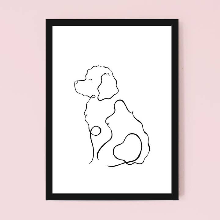 Cockapoo for wholesale by Splash and Line