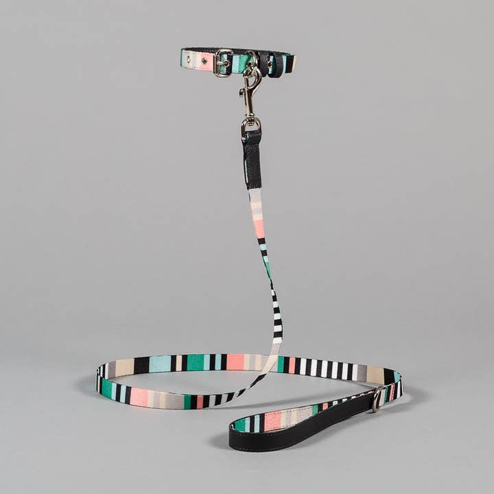 Guinzaglio e colletto in tessuto a righe verde/antracite per la vendita all'ingrosso da parte di Ware of the Dog