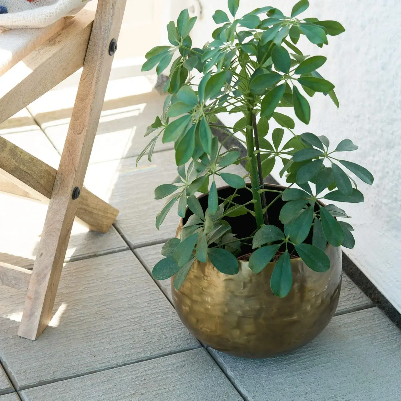 Mytri Designs - Wholesale Plant Pot - Matte Gold Brass Planter - Peetal1