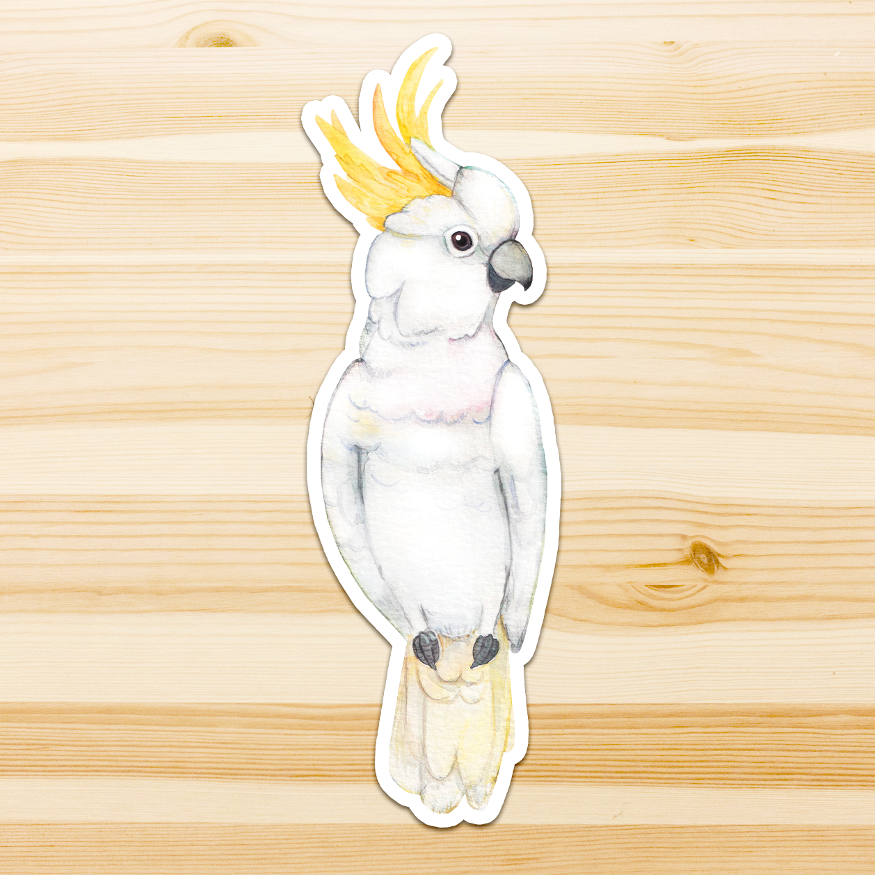 Watercolour By Cat - Vendita all'ingrosso Adesivo - Adesivo in vinile con grande uccello australiano25