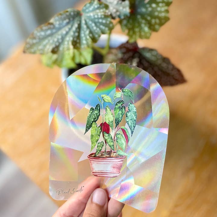 Plant Scouts - Wholesale Suncatcher - Rainbow Maker Suncatcher Window Decal Sticker - Begonia