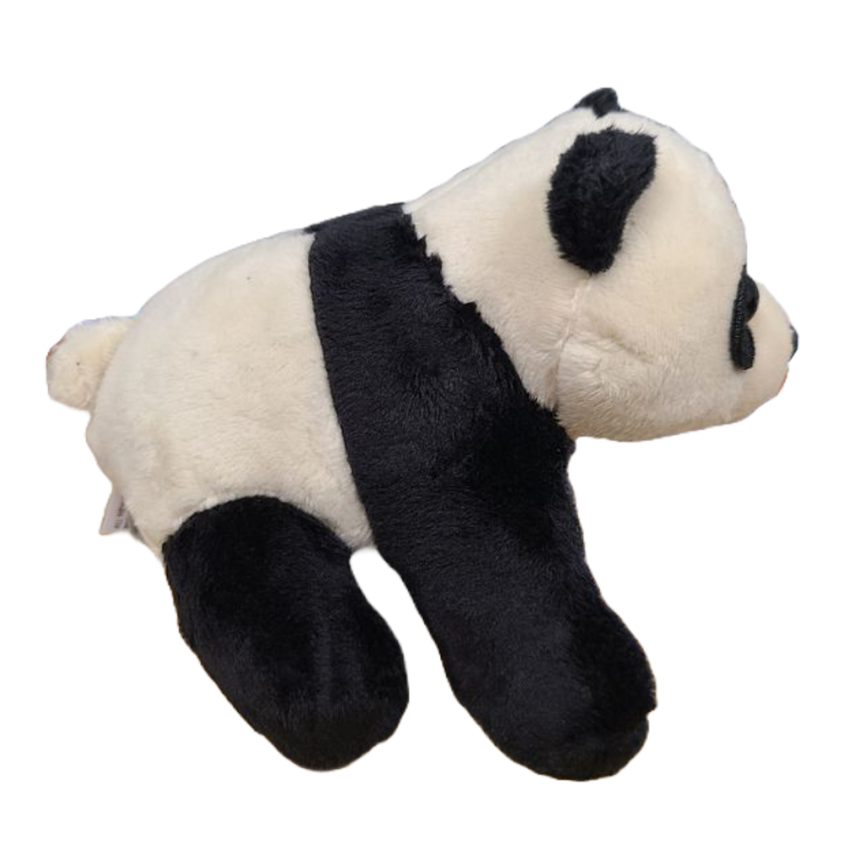 Canned Gifts - Wholesale Stuffed/Plush Toy - Kids & Baby - Canned Panda | Stuffed Animal Zoo Plush | Funny Jokes6