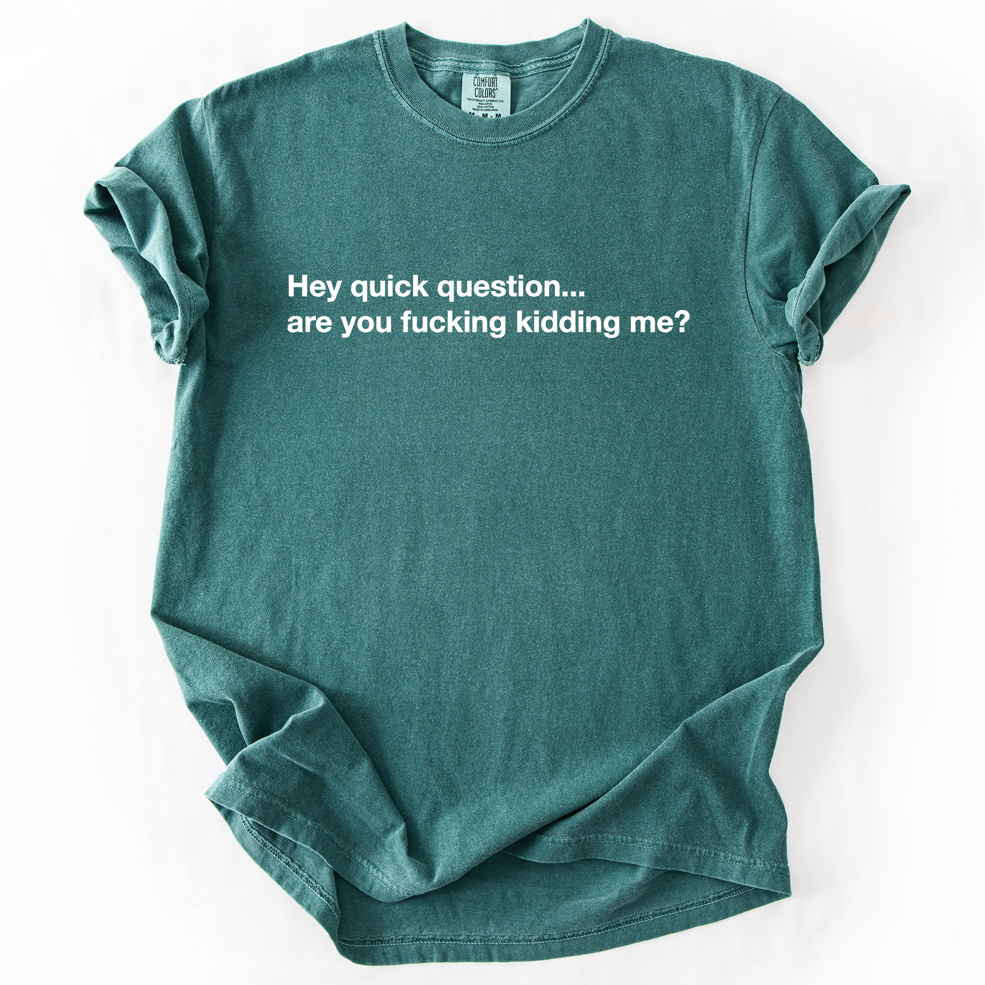 Refinery Number One LLC - Wholesale T-Shirt (Graphic) - Unisex - Hey Quick Question, Are You Kidding Me, Sarcastic T-Shirt2