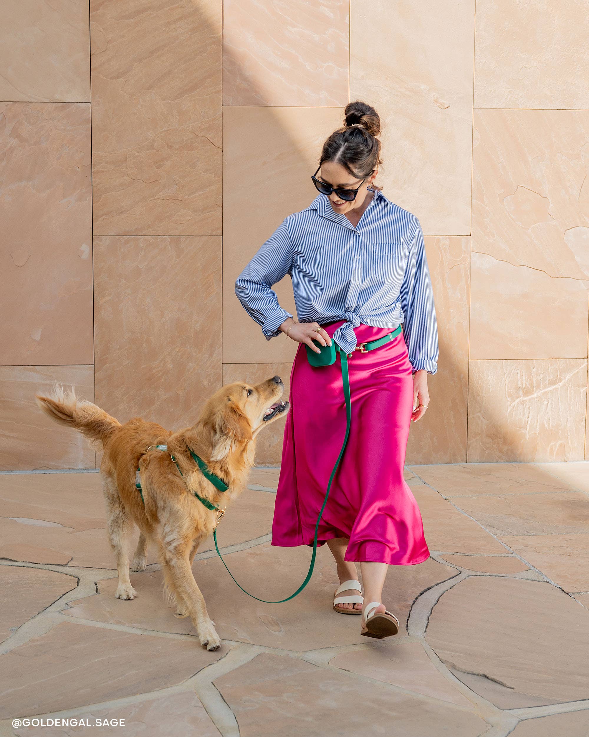 SUNNY TAILS - Wholesale Pet Leash - Dog - Meadow Green 4-in-1 Convertible Hands Free Cloud Dog Leash4