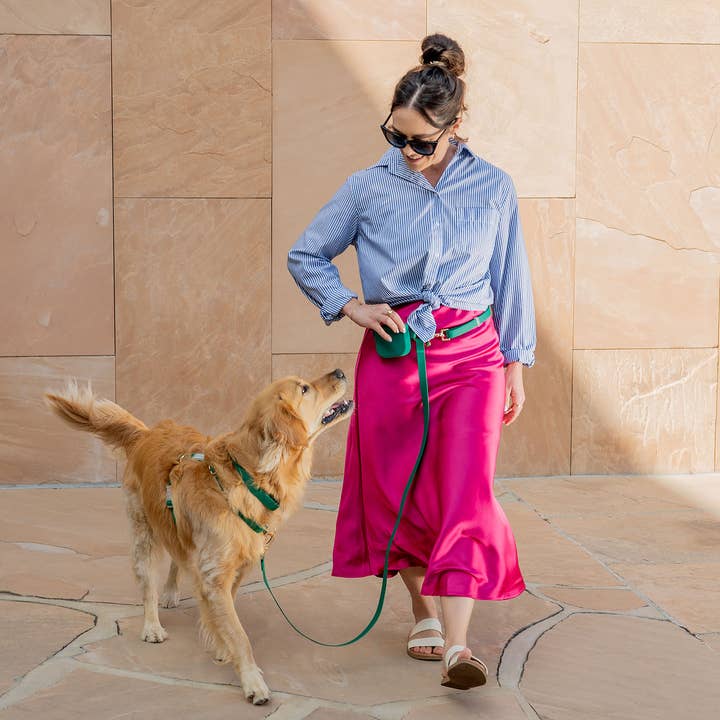 SUNNY TAILS - Wholesale Pet Leash - Dog - Meadow Green 4-in-1 Convertible Hands Free Cloud Dog Leash4