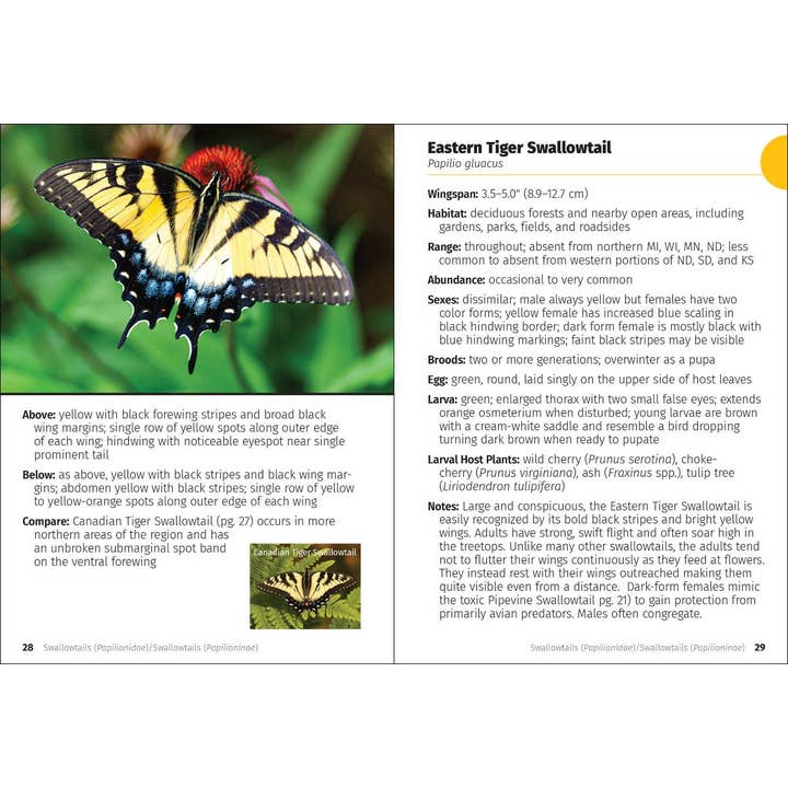 AdventureKEEN - Wholesale Nature & Outdoors - Butterflies of the Midwest Field Guide5