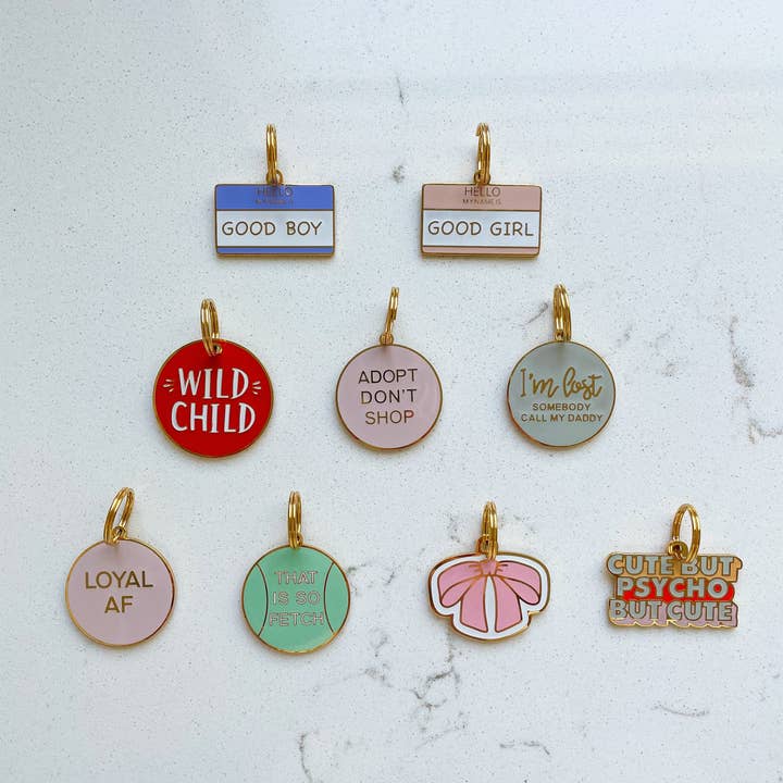 Only Good Behavior - Wholesale Pet identification tag – Dog - Dog Tag - Hello My Name is Good Boy1