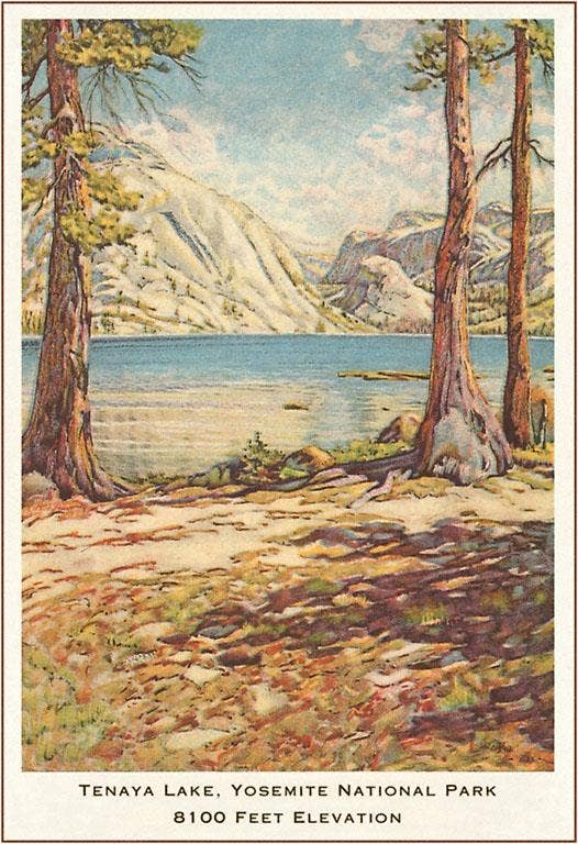 Found Image Press - Wholesale Postcard - Postcard CA-528 Tenaya Lake, Yosemite, California0