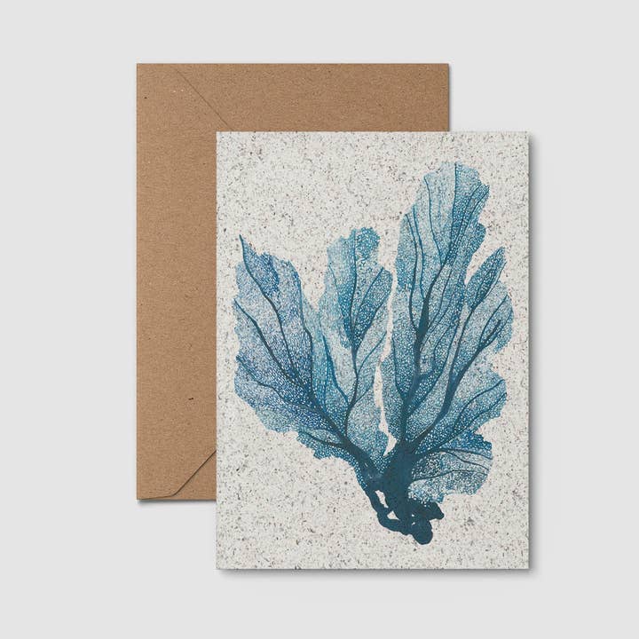 Carte Mini Imprimé Éventail de Mer pour la vente par Kelpi Studio