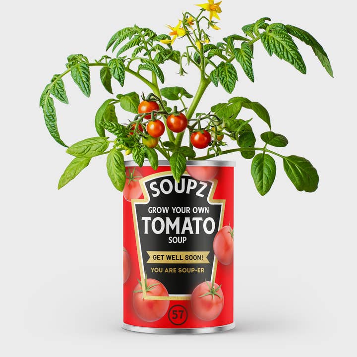 Grow your own Tomato Soup Tin Gift, Get Well Soon for wholesale by Alphabet Gifts