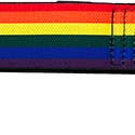 Rainbow Stretchy Belt for wholesale by Sock Harbor / Bigfoot Sock Co.