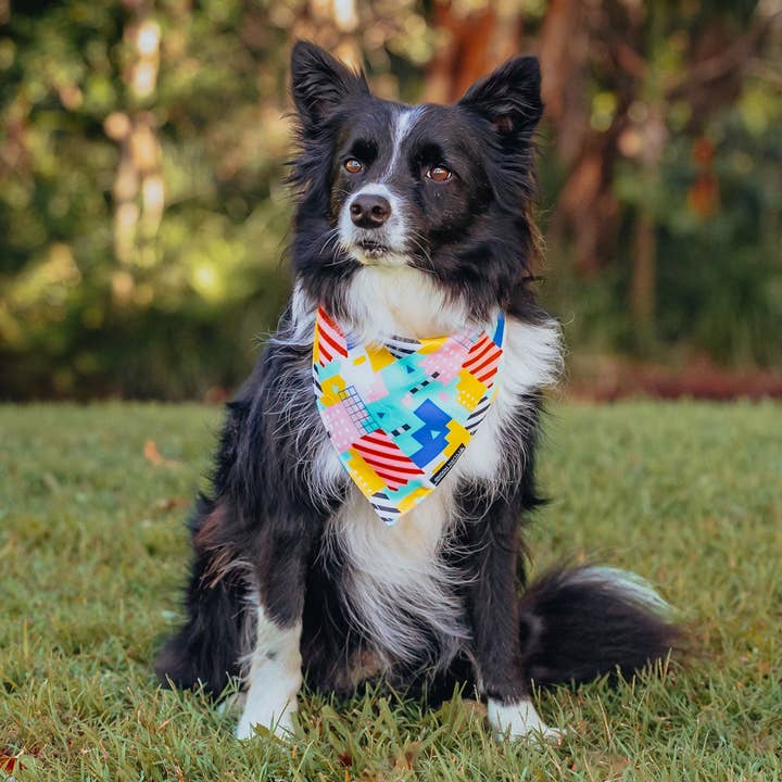 Stylish Hound - Venta al por mayor Bandana - Perros - Bandana Milano1