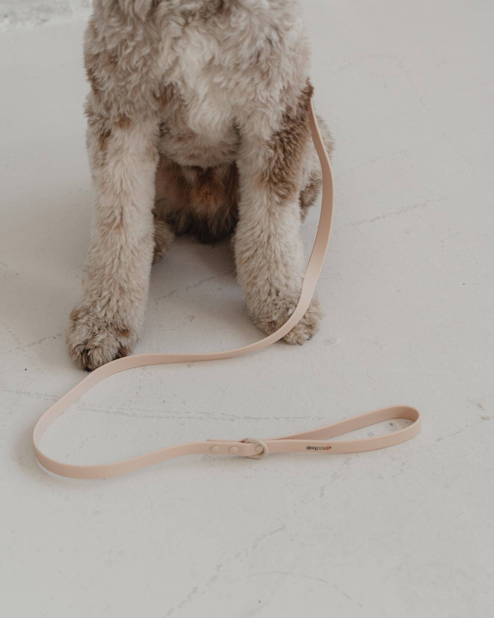 dexypaws - Wholesale Pet Leash - Dog - Waterproof Dog Leash in Nude1