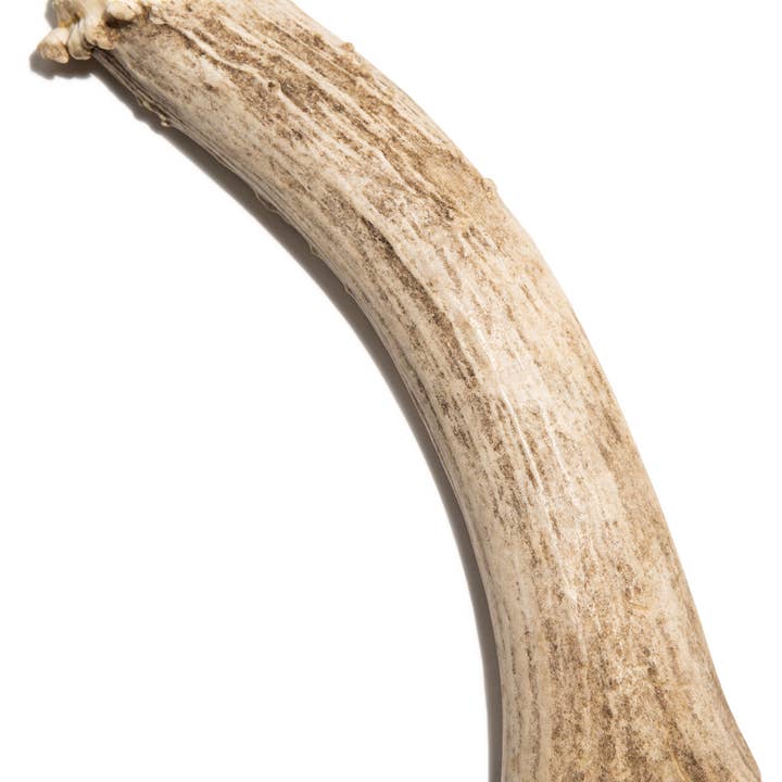 Woof Island - Wholesale Pet Treats - Dog - Deer Antler Large Whole
