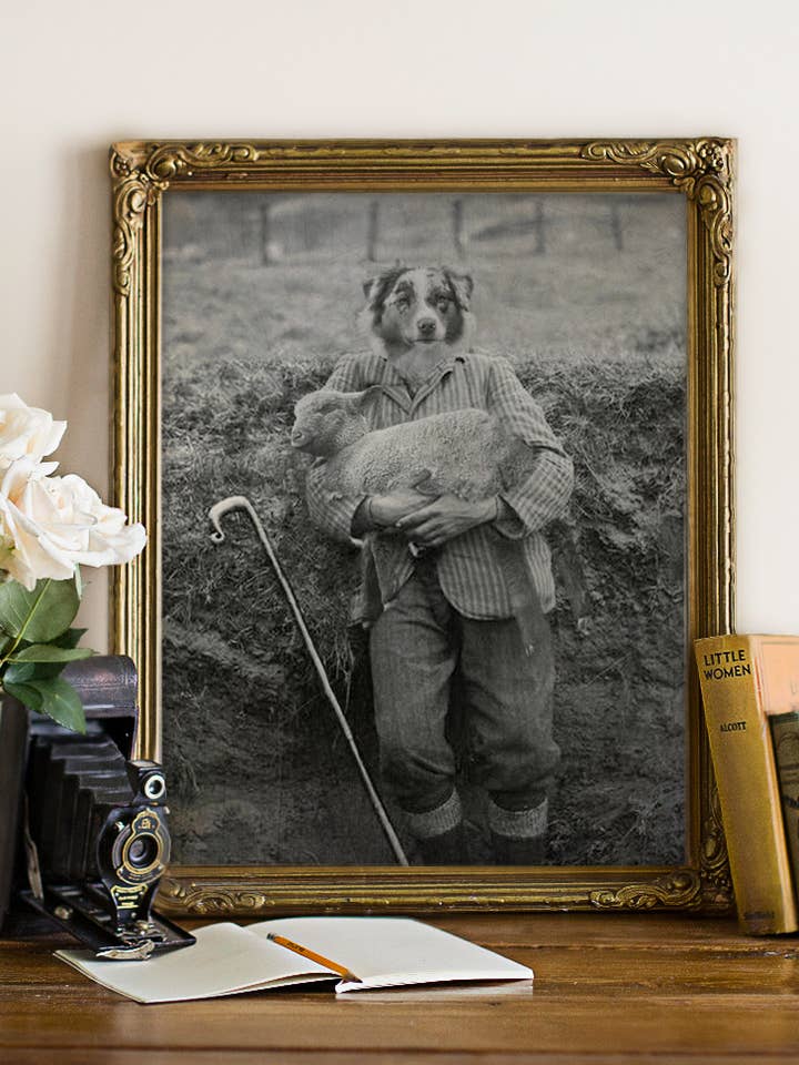 5" x 7" Australian Shepherd Print, Dog Country Farmer Style for wholesale by The Wild Oddisorium