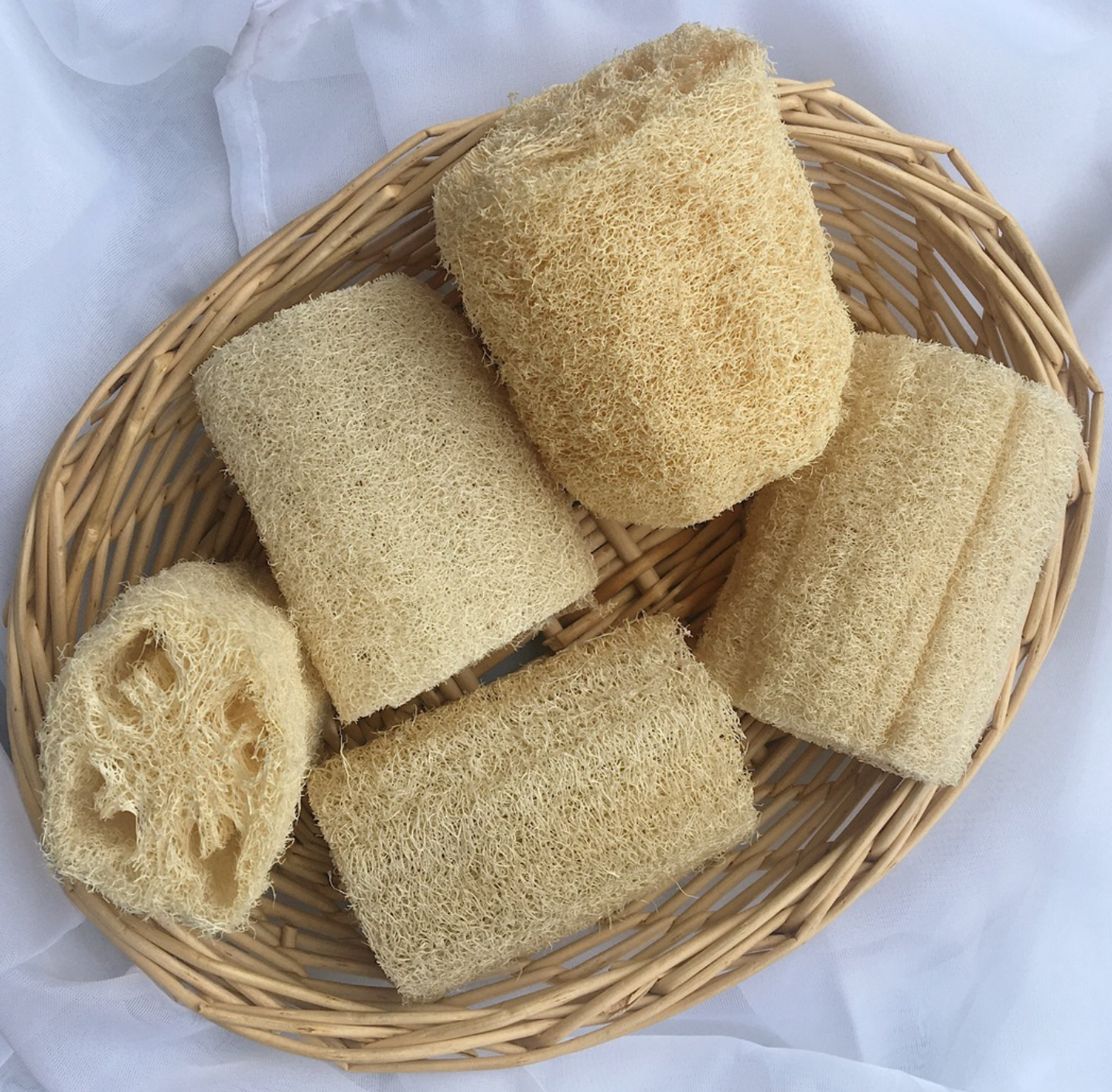 Lola Severina – Engroshandel Badesvamp – Naturlig Luffa svamp2