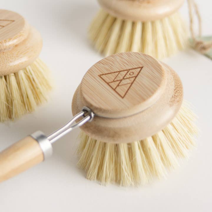 CASA AGAVE® replacement head only - No Tox Life and other Purchase Wholesale agave. Free Returns & Net 60 Terms on Faire trending on Faire.