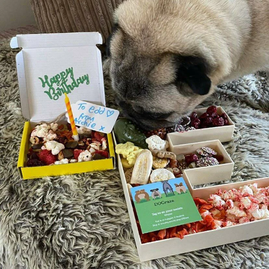 DOGraze - Vendita all'ingrosso Snack - Cani - Snack per cani a forma di lettera riempibile4