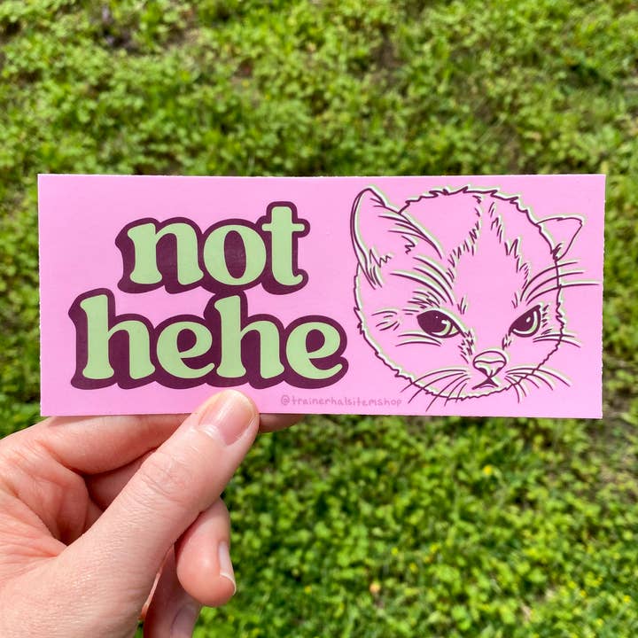 Trainer Hal’s Item Shop - Wholesale Sticker - Hehe Cat Meme Bumper Sticker | Grumpy Kitten Pink Y2K Decal