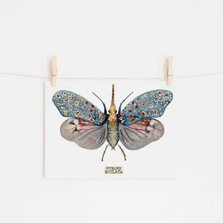 Insect Taxidermy Art Print Of Insect Specimen for wholesale by Candace Fincher