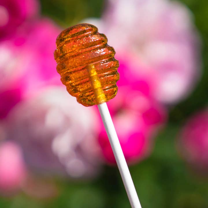 Sparko Sweets - Wholesale Lollipop - Honey Dipper Lollipops - 1.5"