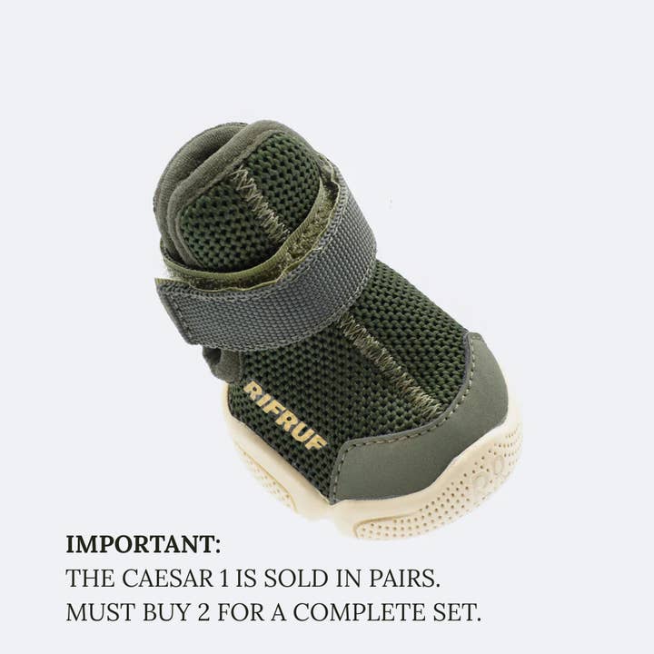 RIFRUF - Vente Bottines – chien - César 112