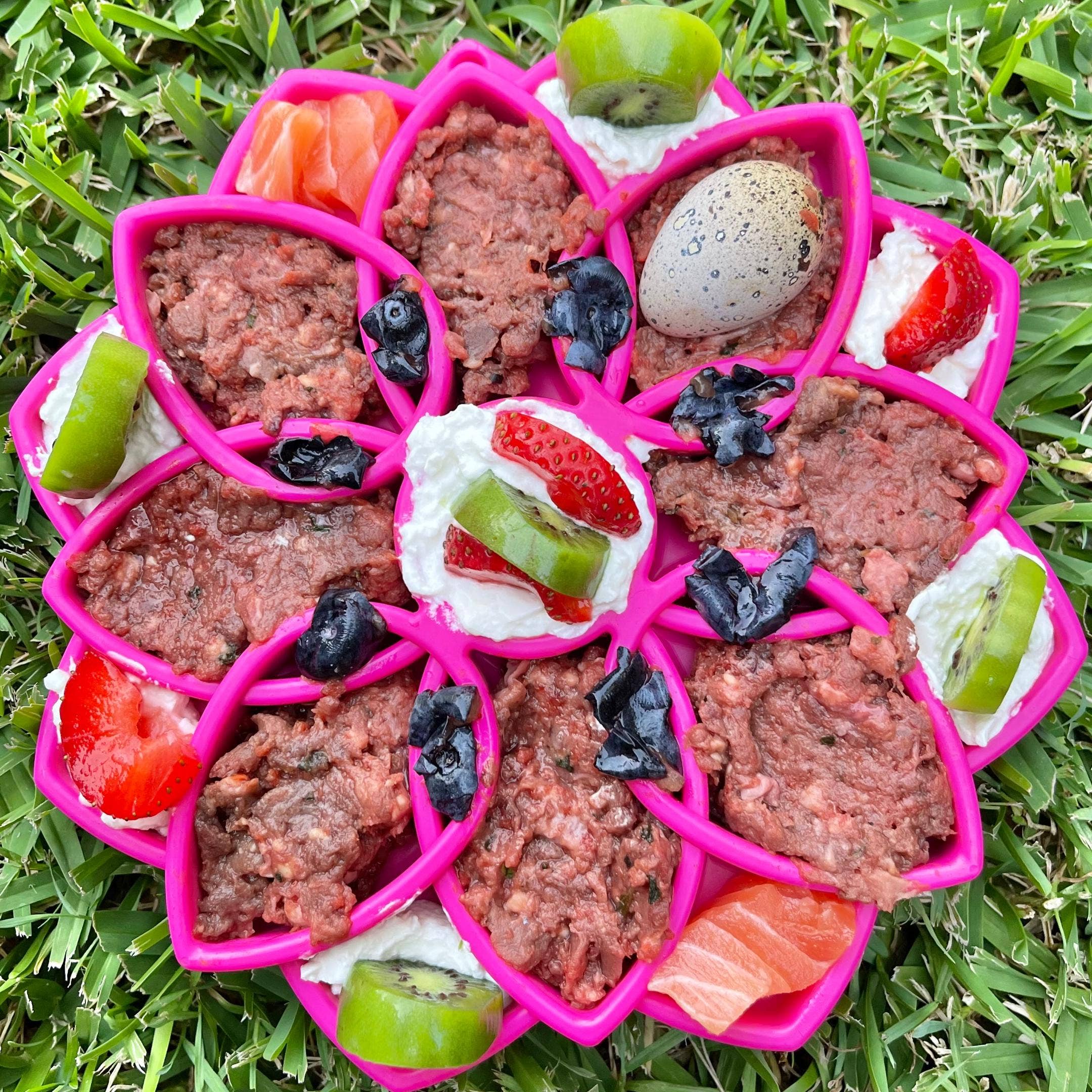 Rover Pet Products - Venta al por mayor Comedero - Gatos y perros - Mandala eTray Comedero Lento14